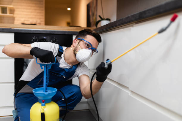 Best Local Pest Control Services  in The Galena Territory, IL