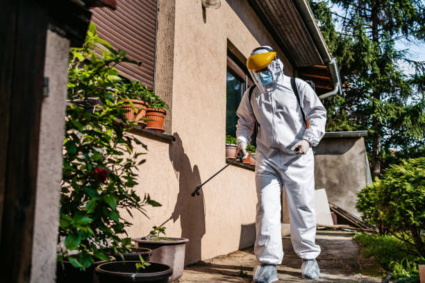 Best Emergency Pest Control  in The Galena Territory, IL