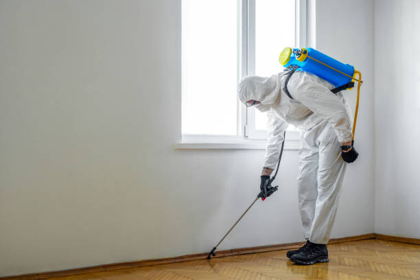 Best Bed Bug Extermination  in The Galena Territory, IL