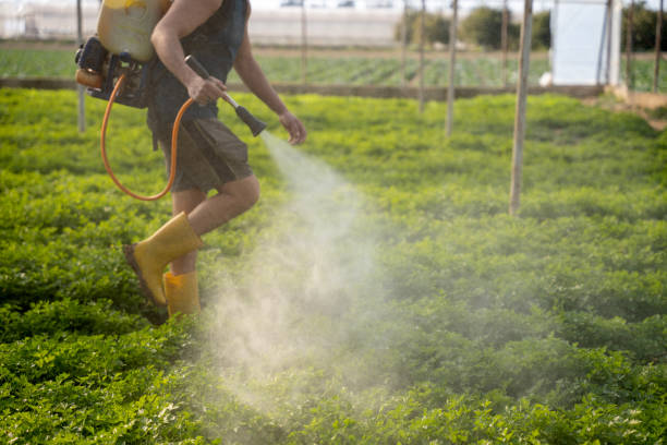 Best Pest Control Near Me in The Galena Territory, IL