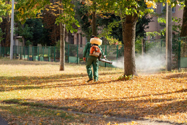 Best Pest Control Near Me in The Galena Territory, IL