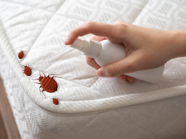 Reliable The Galena Territory, IL Pest Control Solutions